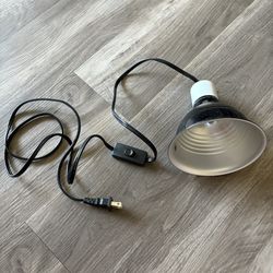 Reptile Heating Lamp