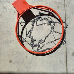 Lifetime Basketball Hoop