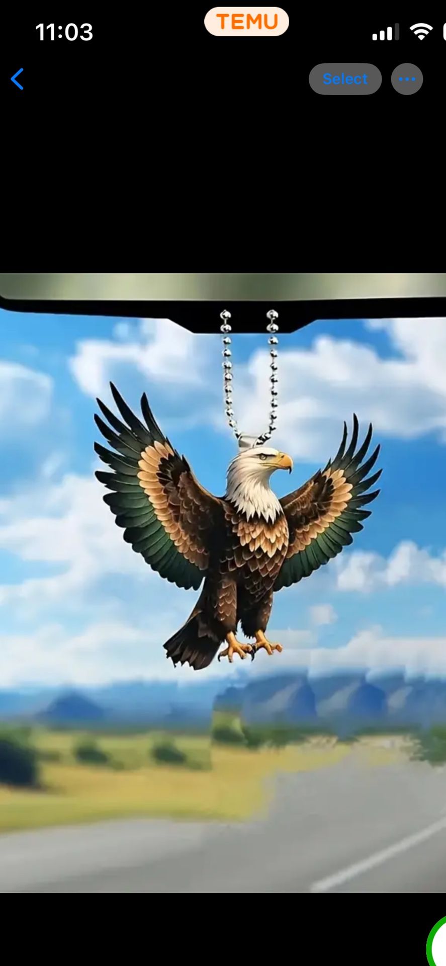 American Eagle Car Hanging