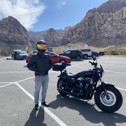 Harley-Davidson 2012 XL 1200 / MRS / 7.8k Mileage 