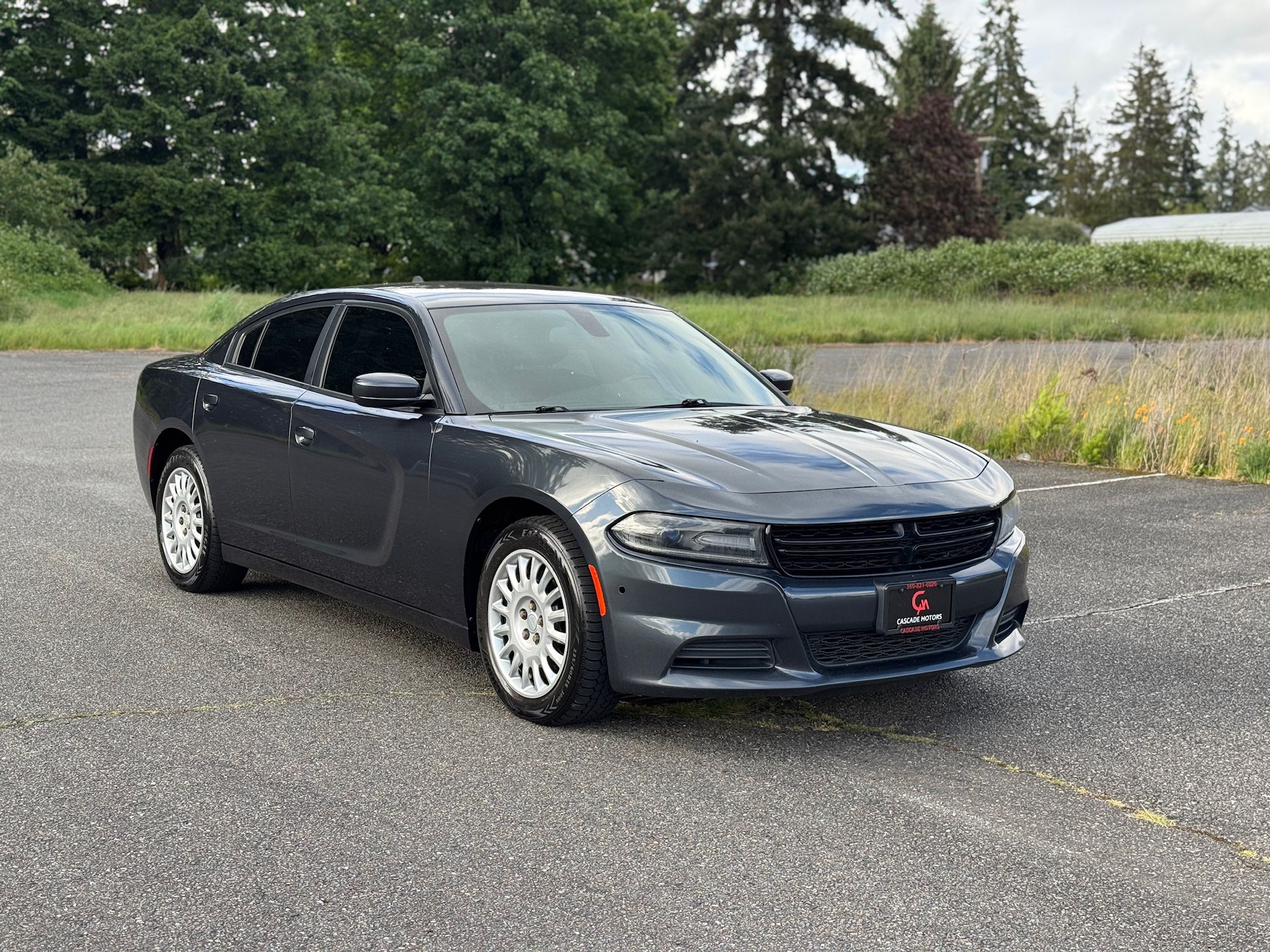 2017 Dodge Charger