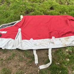 Heavy Weight Turnout Blanket 70 Red, Schneiders