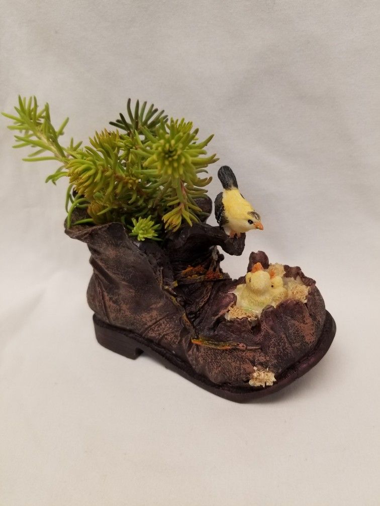 Decorative Succulent Planter