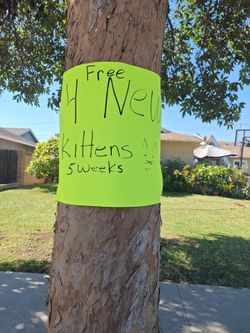 Free