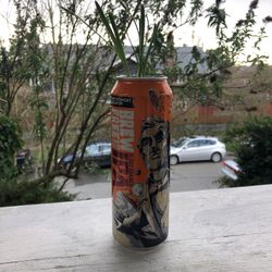 Upcycled Can Planter With Spring Flowers