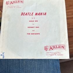 Beatle Mania