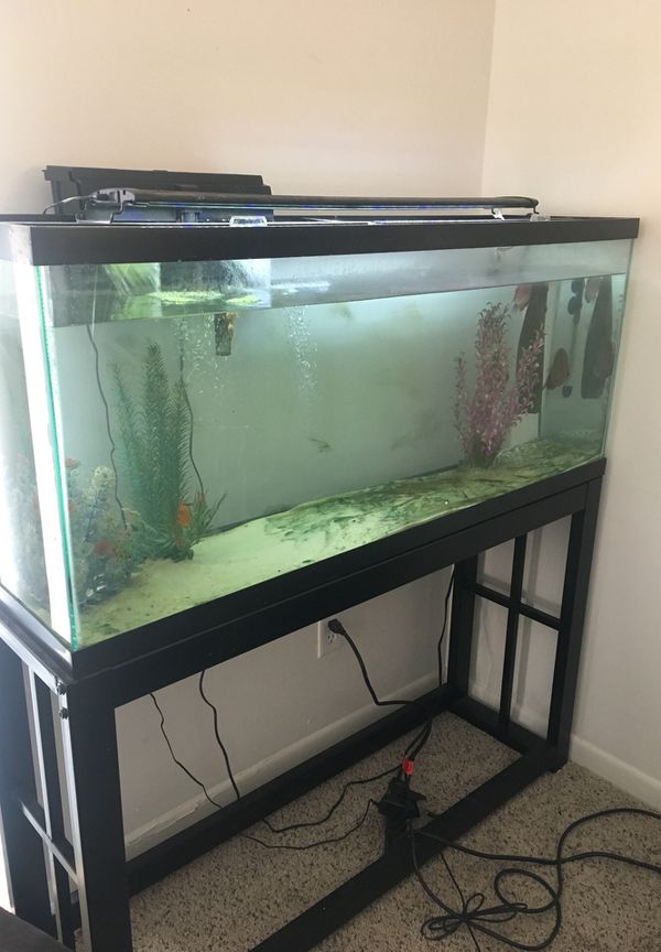65 gallon fish tank with stand. Old picture. This is now