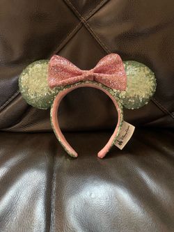 Disney park ears