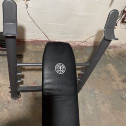 Weight Bench With Leg Developer