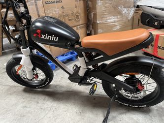 20” Fat Tire E-bike 