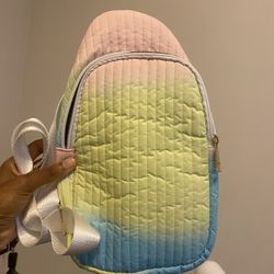 2 Cross Body Bags 