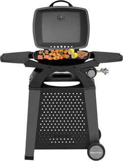 Master Cook Portable Grill 