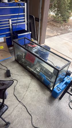 55 gallon fish tank