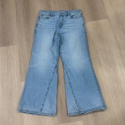 American Eagle Low-Rise Baggy Flare Strigid Jeans Blue Denim Women's Size 10