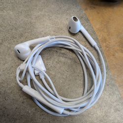 Apple Headphones Type C