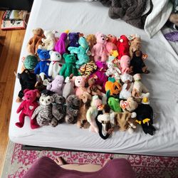 Beanie Babies (Will Take Best Offer)