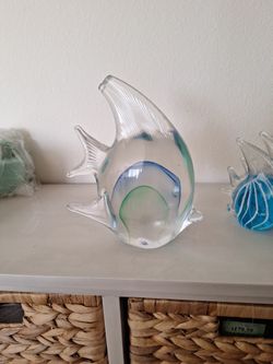 This Fish Family Needs A Good Home