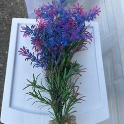 Medium To Larger Aquarium Decorations 