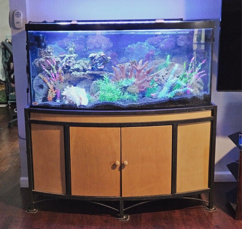 75 Gallon Bowfront Aquarium , FISH TANK With 3 Stage Light, Filter, And Huge Bundle Of Equipment