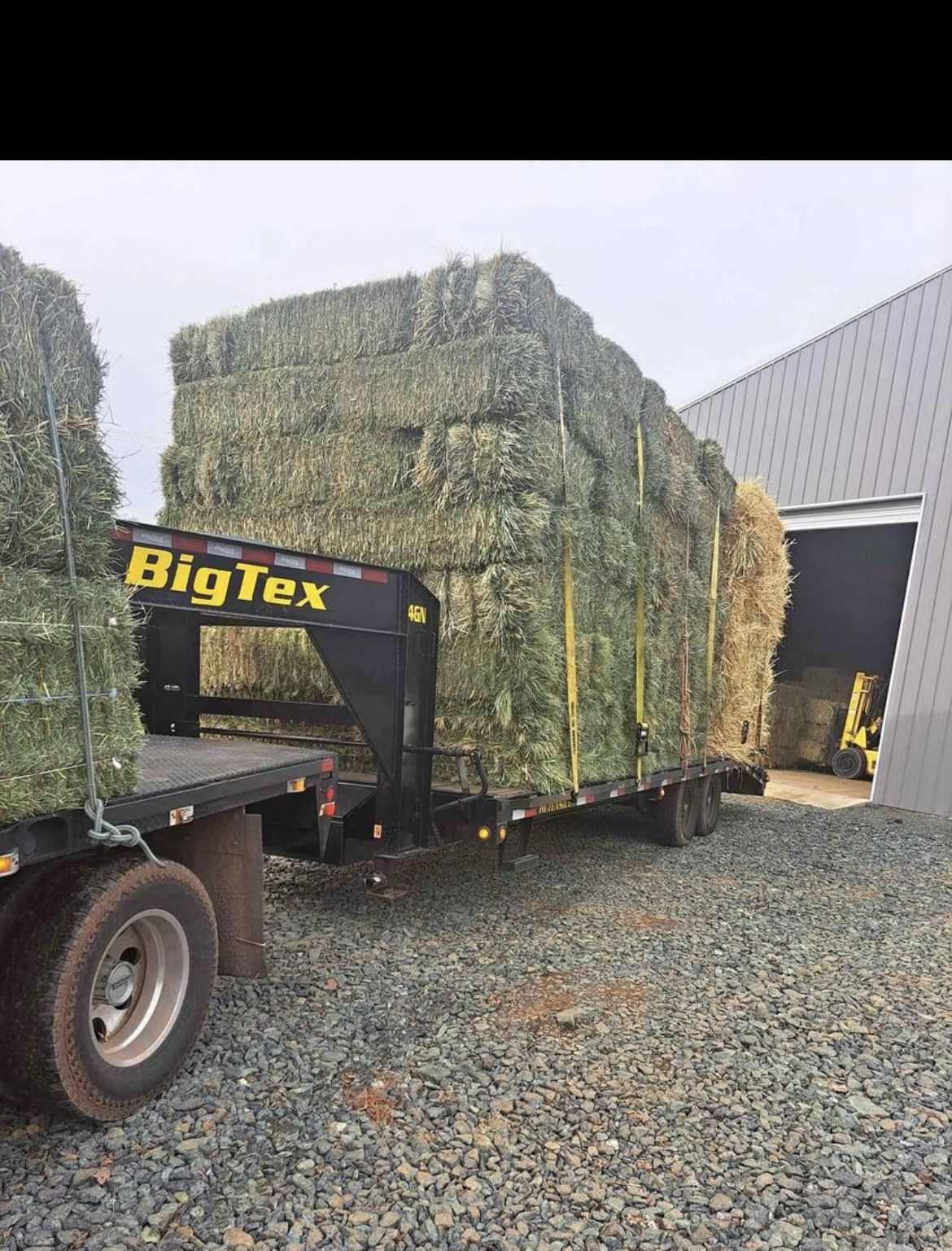 Hay For Sale