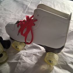 Light up disco skates