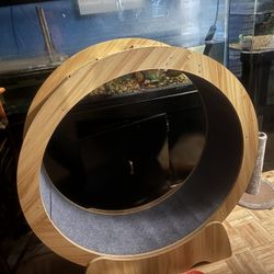 Xl Brand New Cat Wheel 