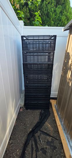 Vegetable basket holder