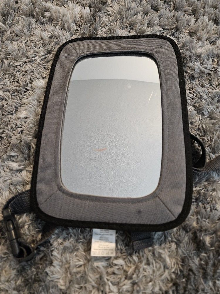 Backseat Mirror