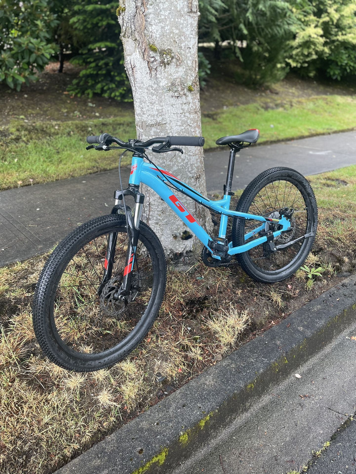 GT Pro mountain bike