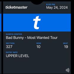 Bad Bunny Concert 
