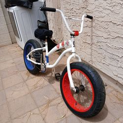 Fat Tire Bike