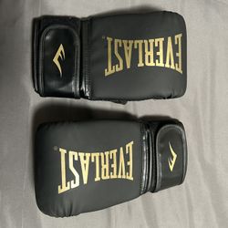 Everlast Boxing Gloves. 