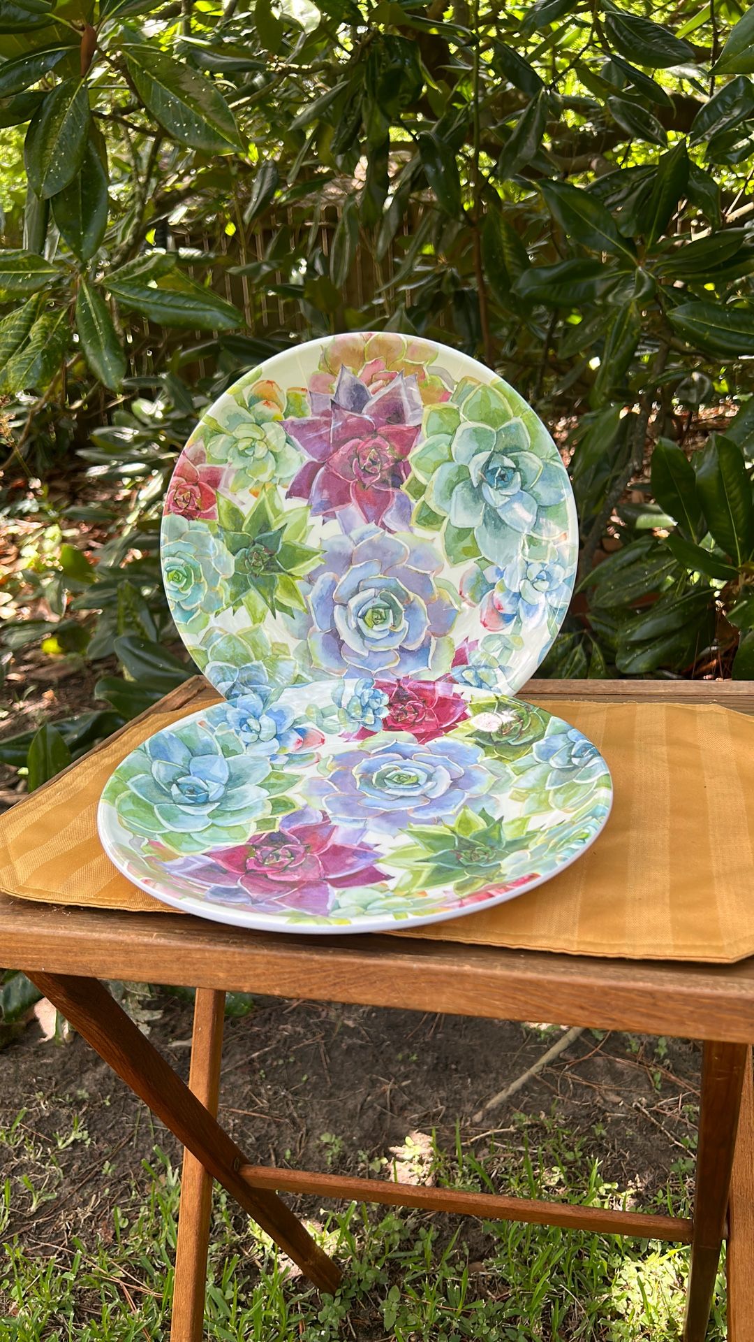 Nicole Miller Floral Succulent Plates