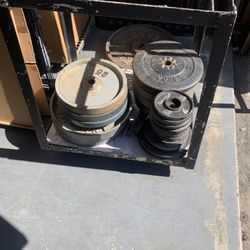 Various Weight Plates/ Olympic and Standard Plates