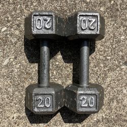 20 lb dumbbells dumbbell set Cast Iron Hex 40 lbs total weights weight 20lb 20lbs pair pounds pound #