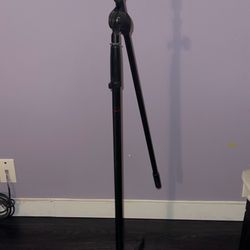 Microphone w/ Adjustable Boom Stand – Works Great
