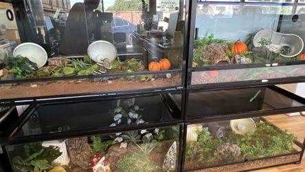 Terrarium horizontal 120 gallons custom built