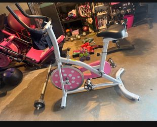 Pink Sunny Health Fitness Cycling Bike