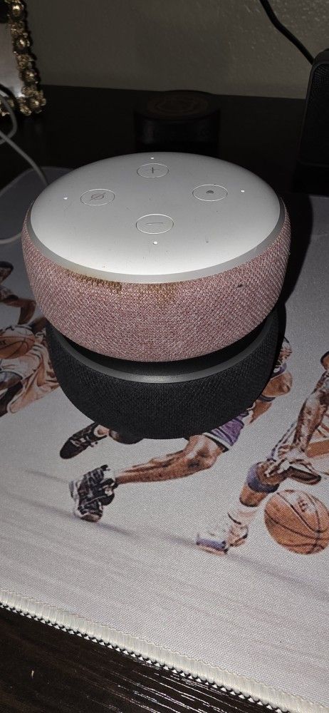 Echo Dots