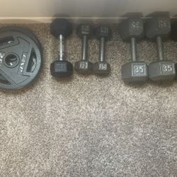 Workout Equipment 