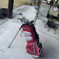 ping green dot with bag