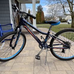 Liv Enchant Bike 24inch Great Condition for Sale in Westbury NY OfferUp