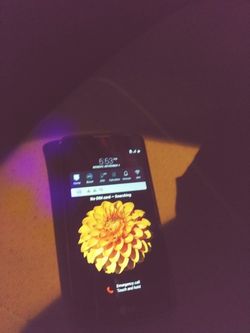 Nice lg great condition$50