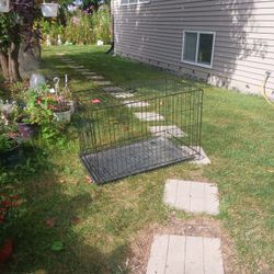 Medium Dog Crate