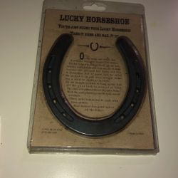 Vintage 1988 Blue Star Collectible Cast Iron Horse Shoe
