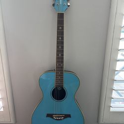Retro 90’s Daisy Rock Acoustic Guitar