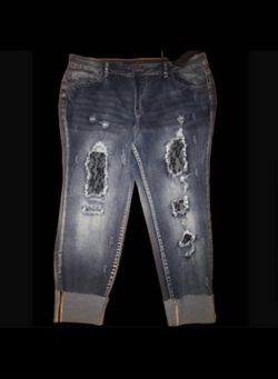 Plus Size Ankle Skinny Jeans