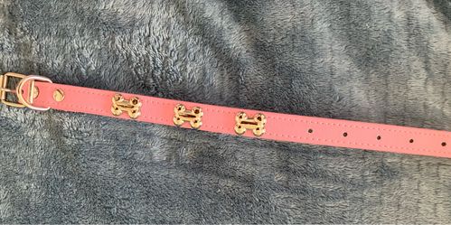 Leash
