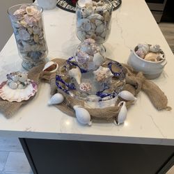 Shells And Decor