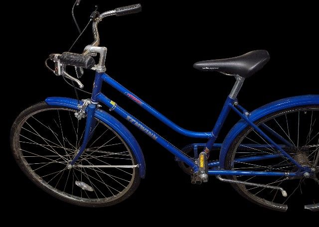 Schwin Bike Excellent Condition For Its Age Needs New Tires